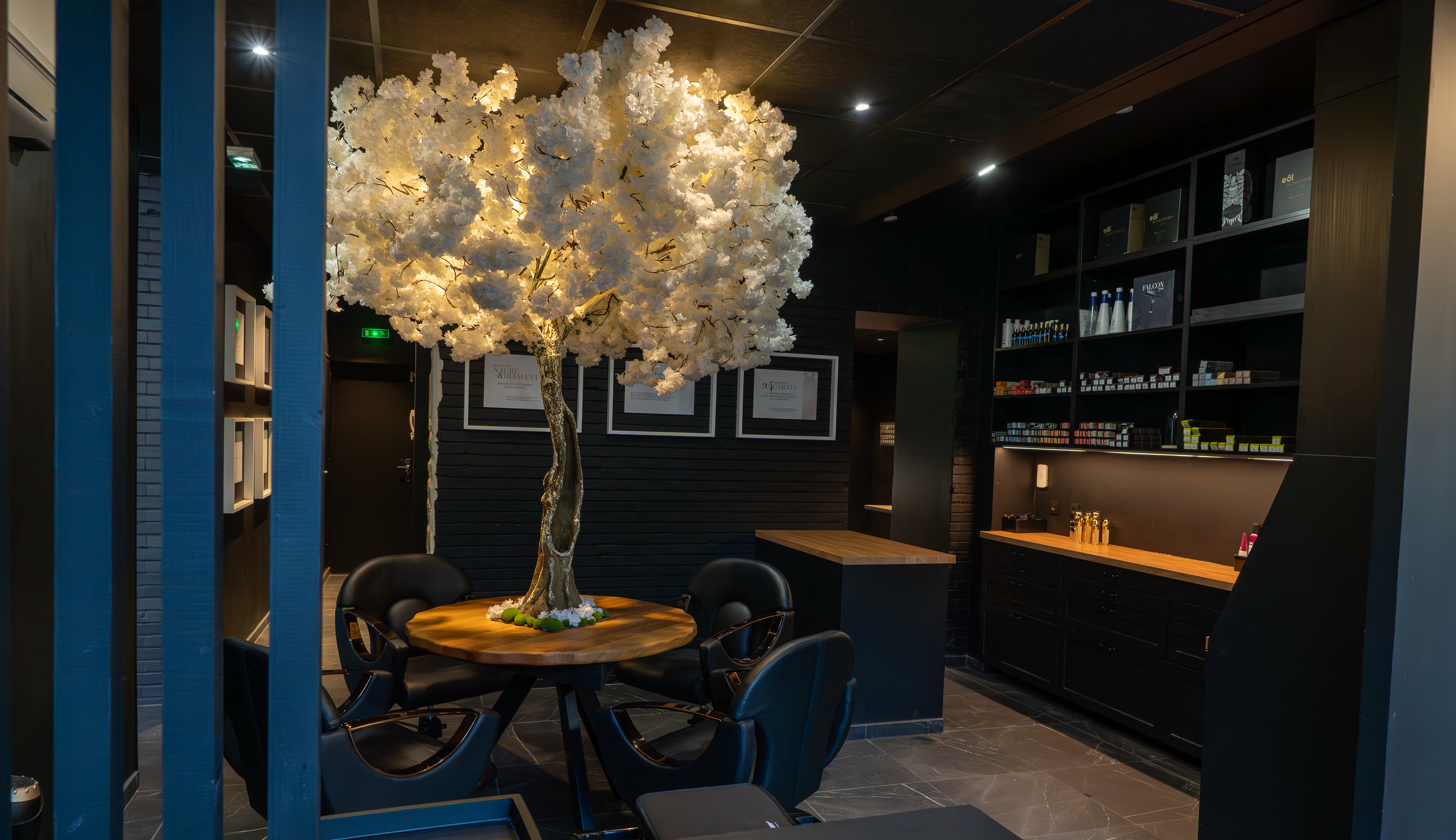 Salon Raphaël Perrier 5