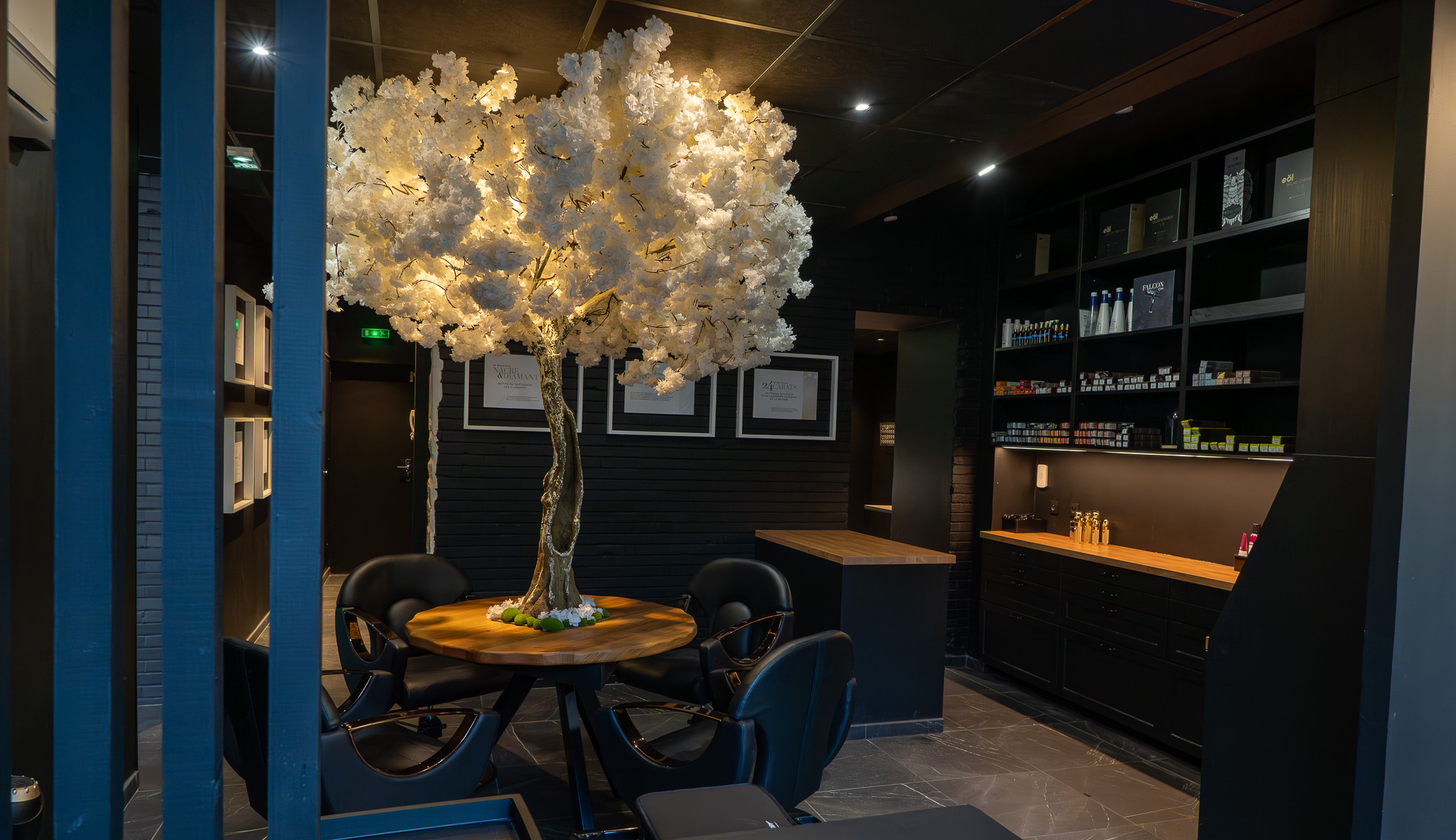 Salon Raphaël Perrier 6