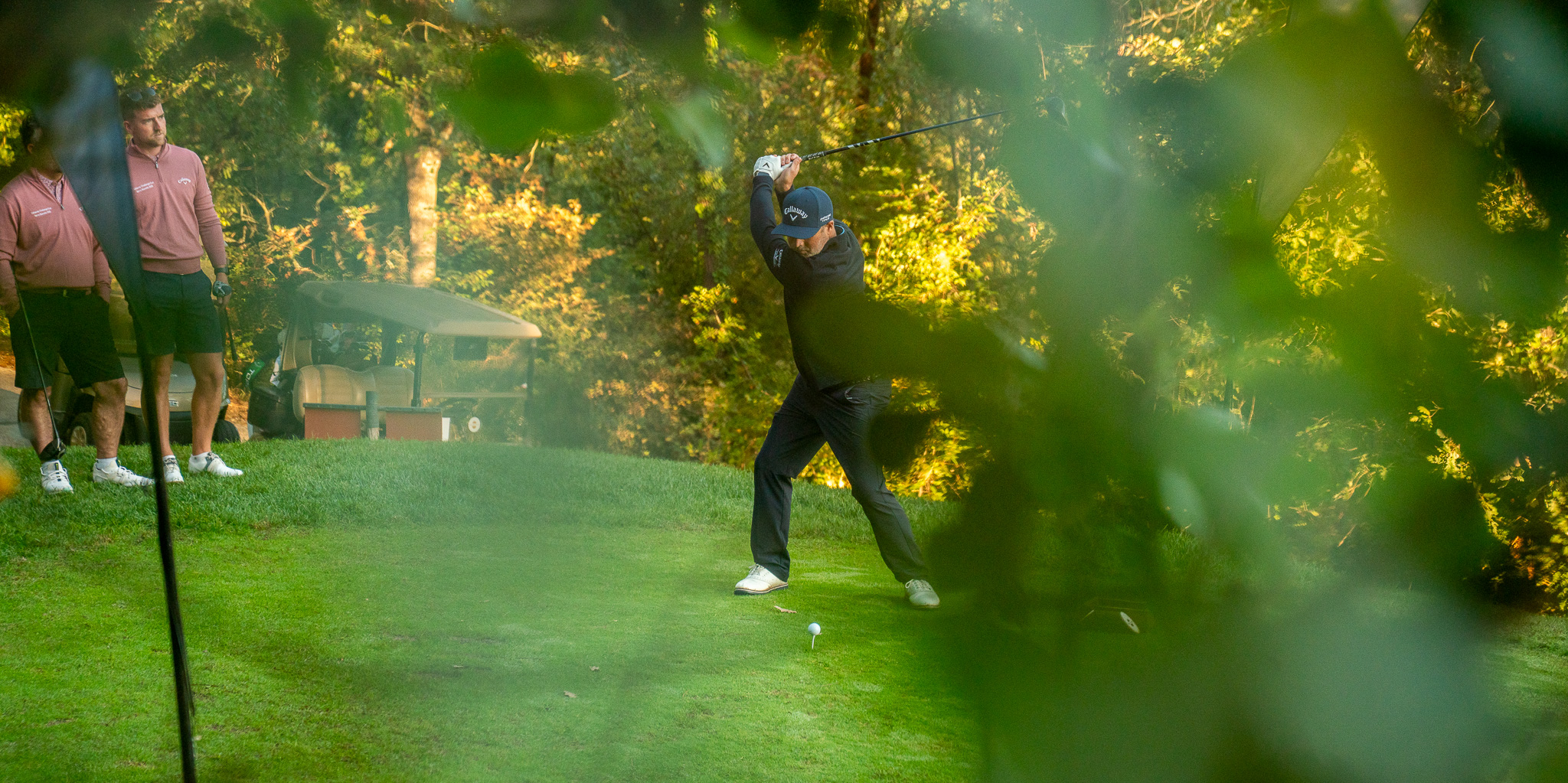 Callaway terre Blanche 2
