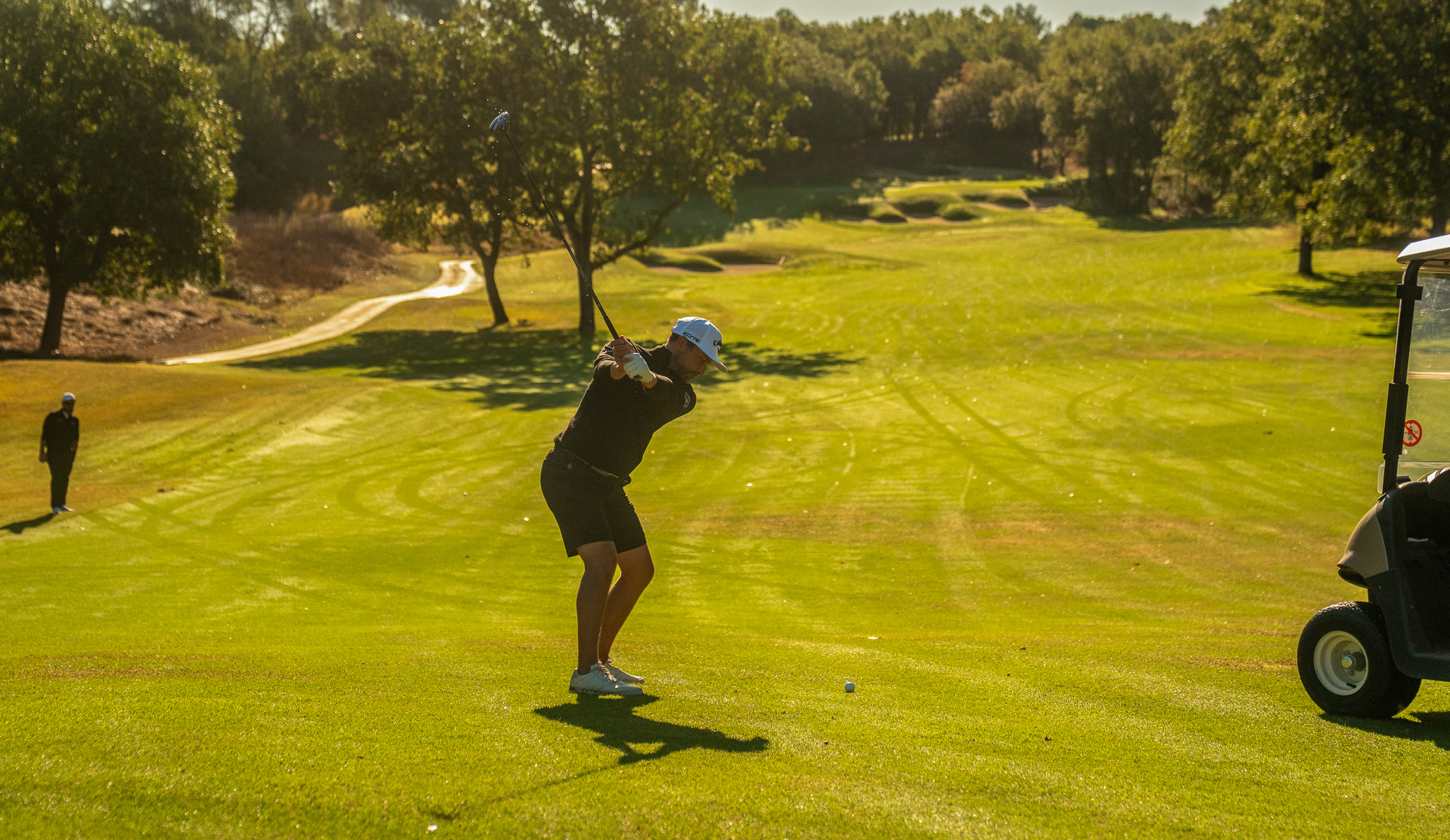 Callaway terre Blanche 15