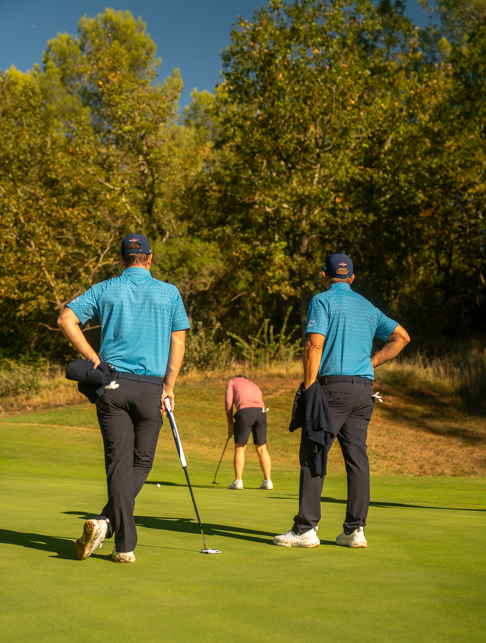 Callaway terre Blanche 24
