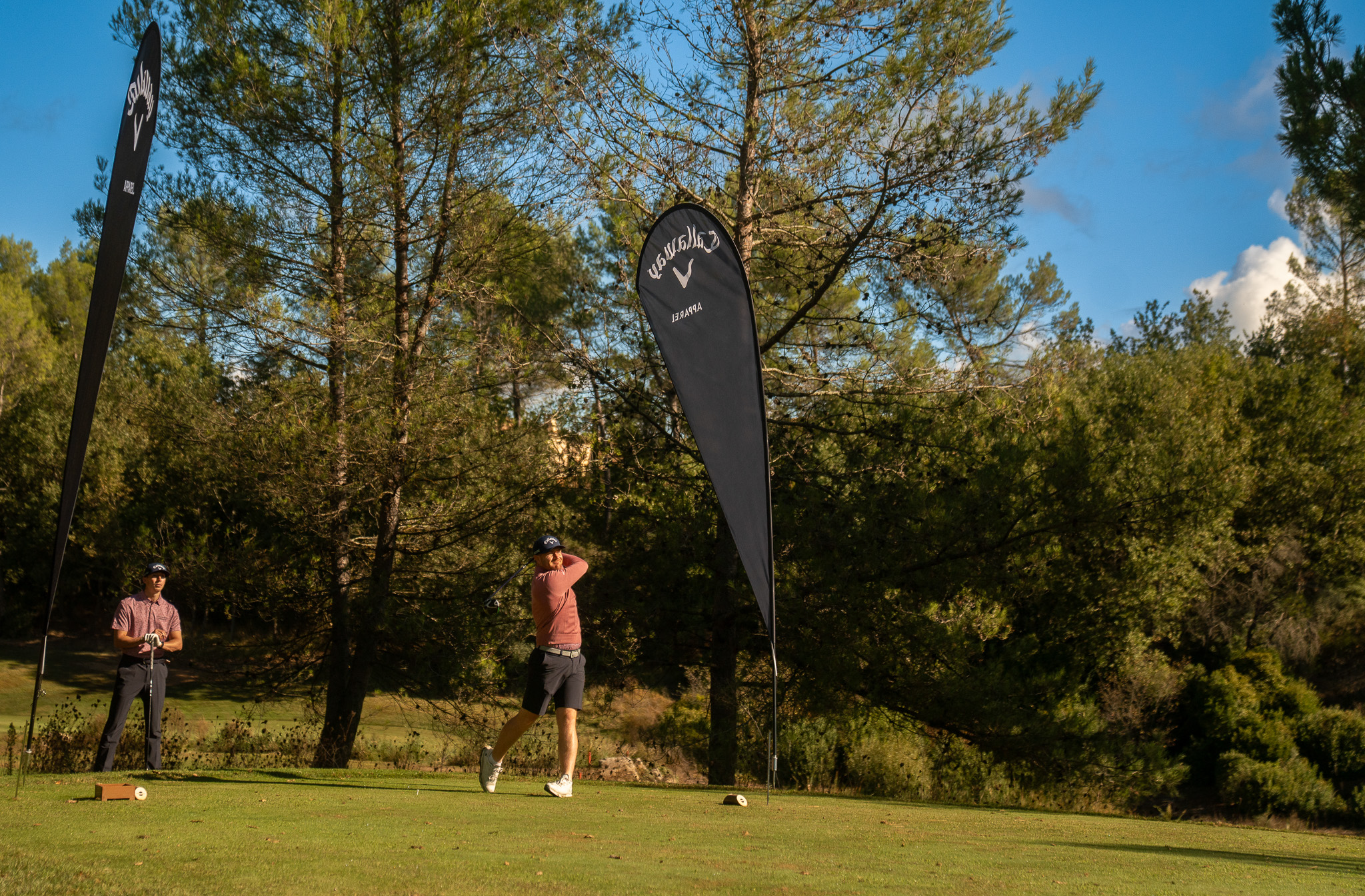 Callaway terre Blanche 26