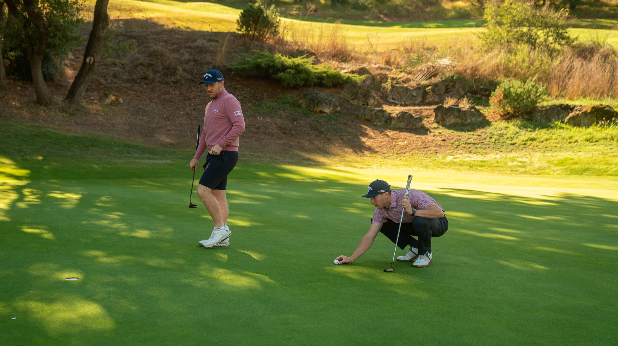 Callaway terre Blanche 28