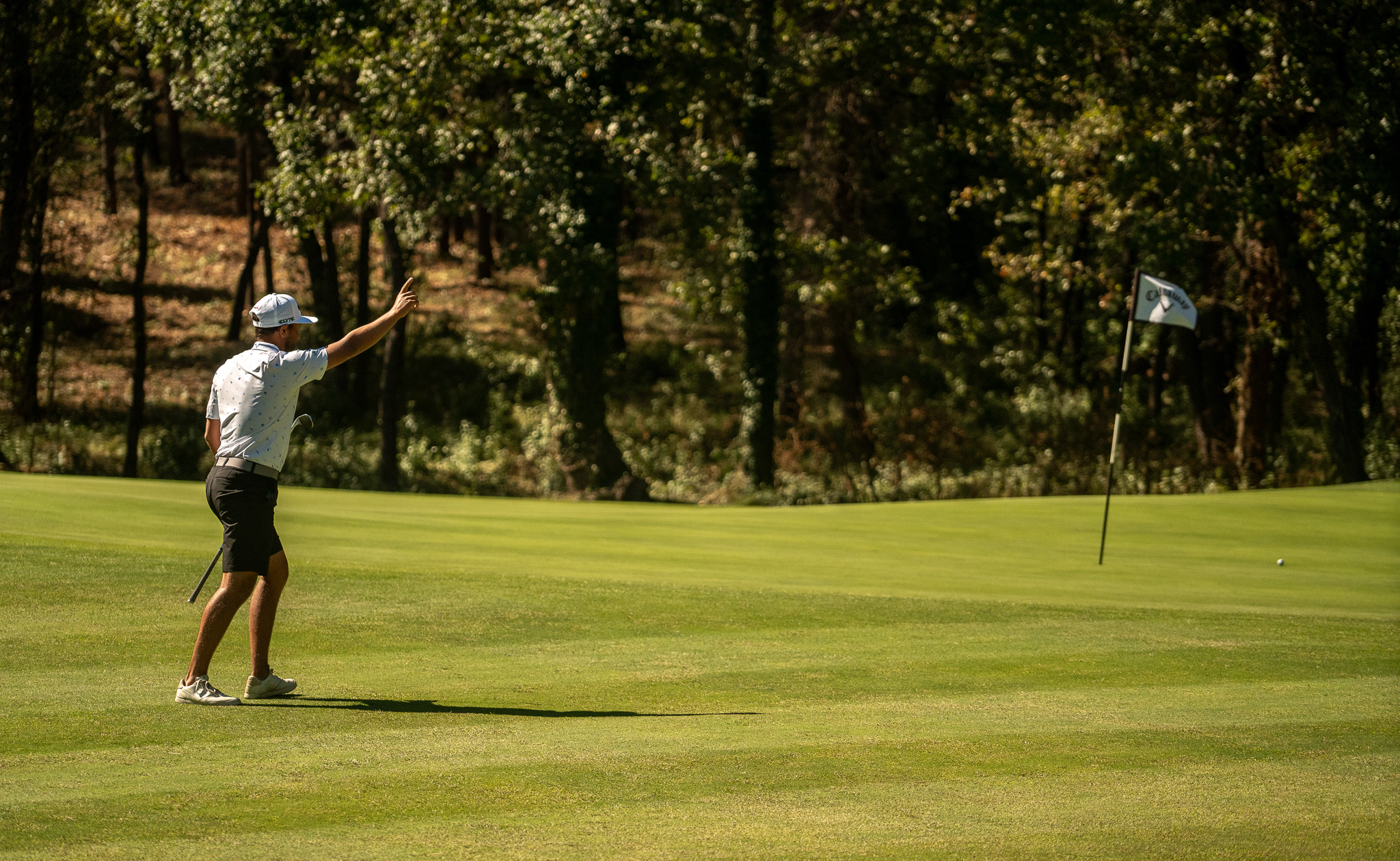 Callaway terre Blanche 44
