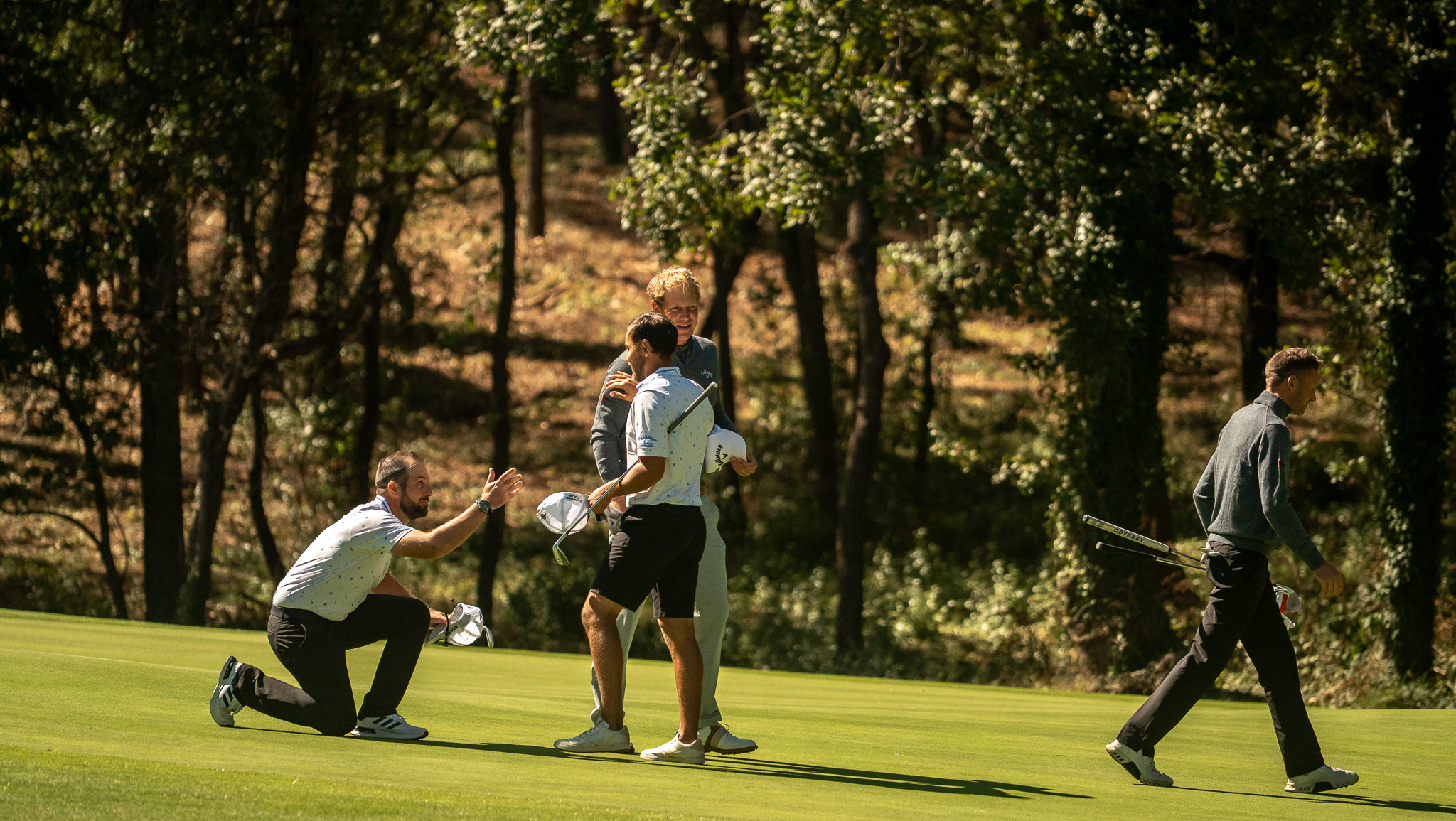 Callaway terre Blanche 45