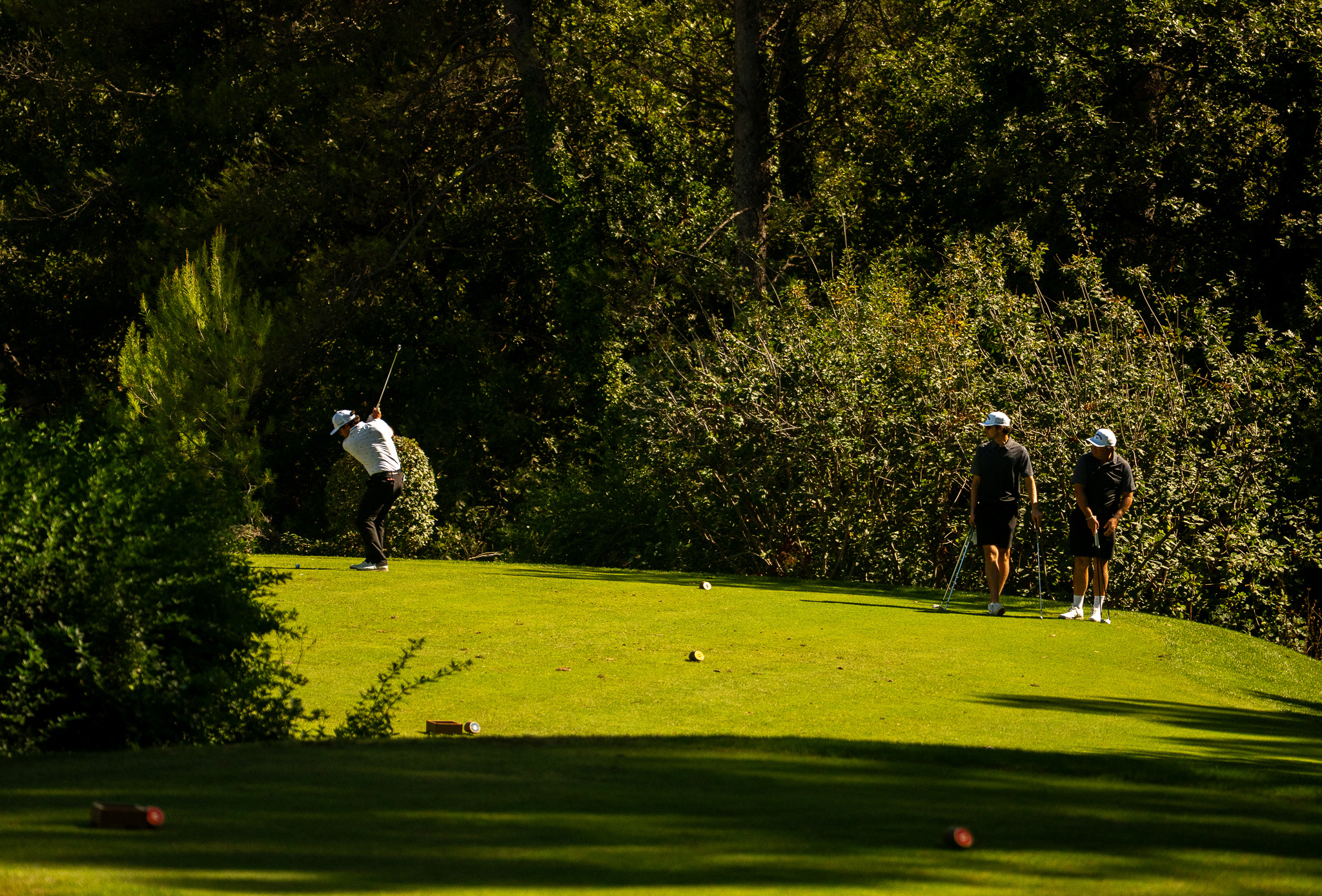 Callaway terre Blanche 48