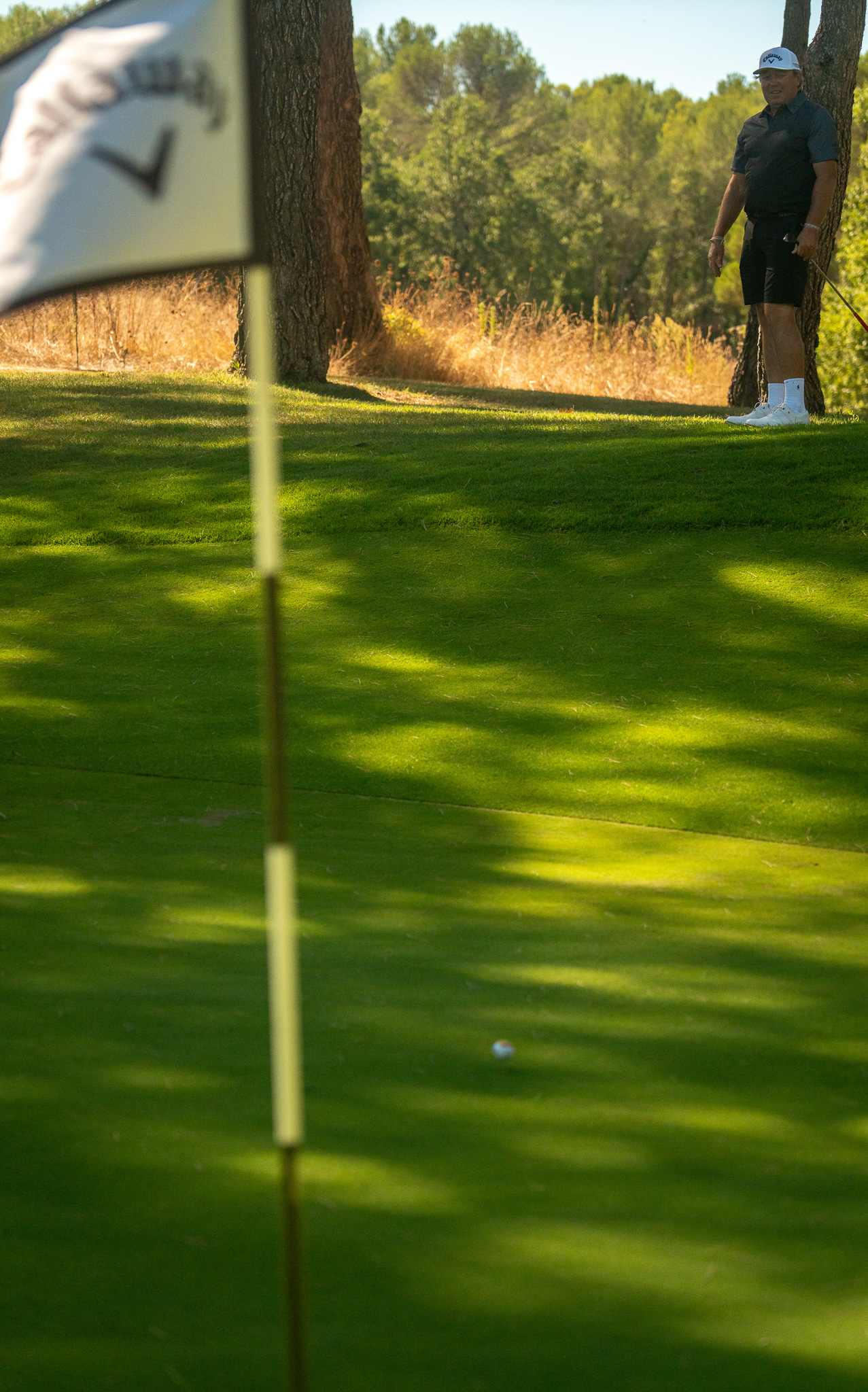 Callaway terre Blanche 50