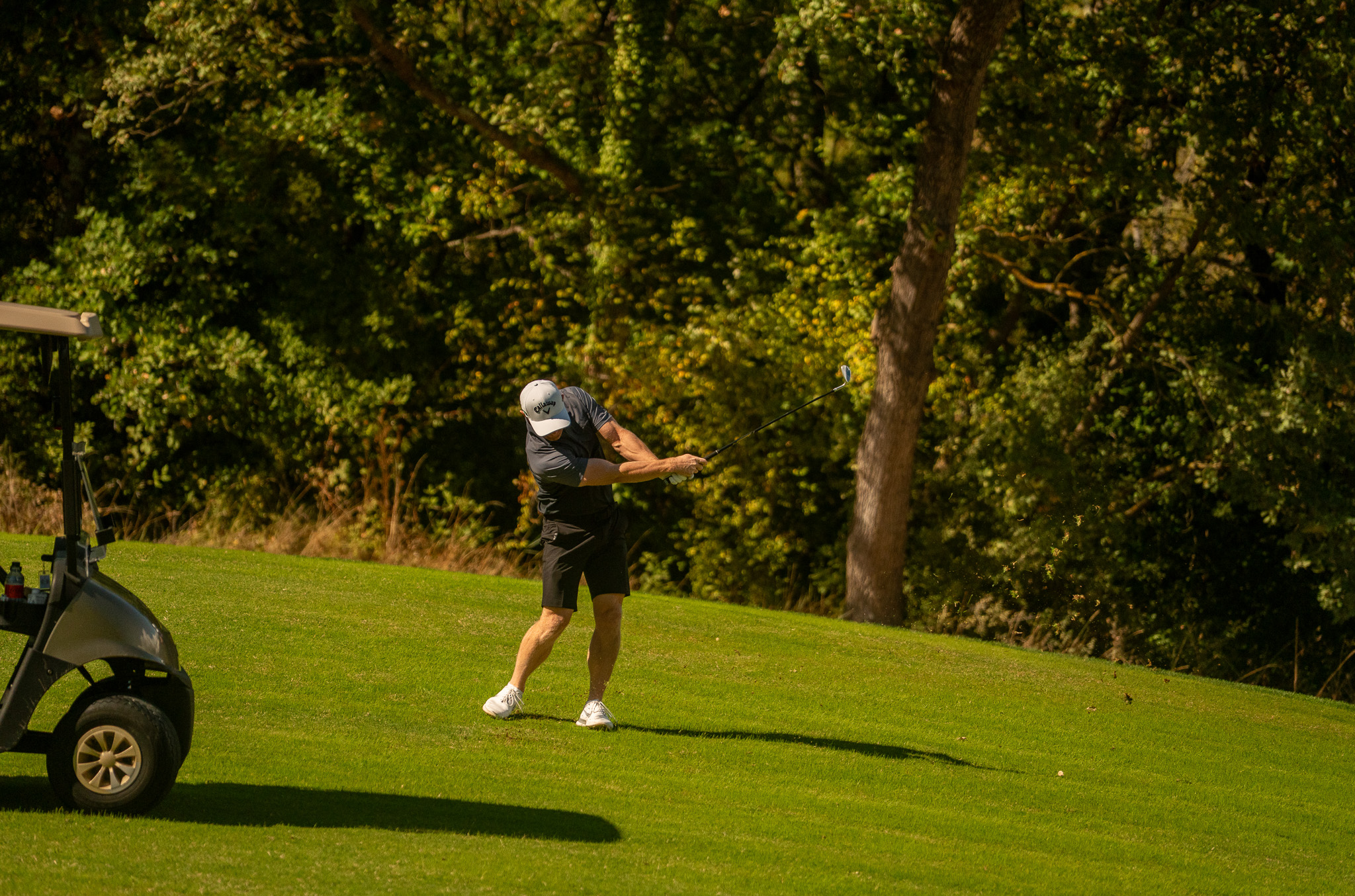 Callaway terre Blanche 53