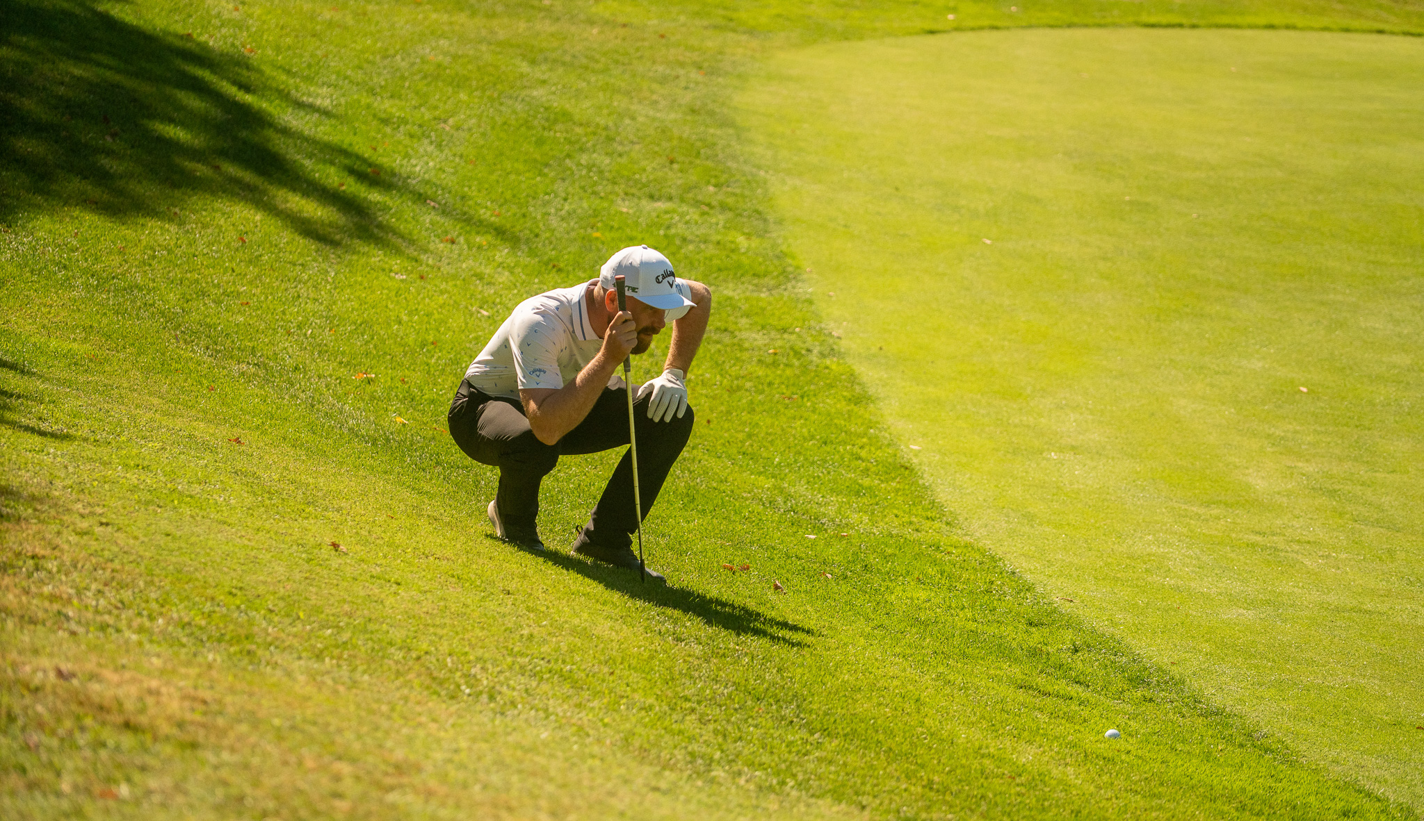 Callaway terre Blanche 55
