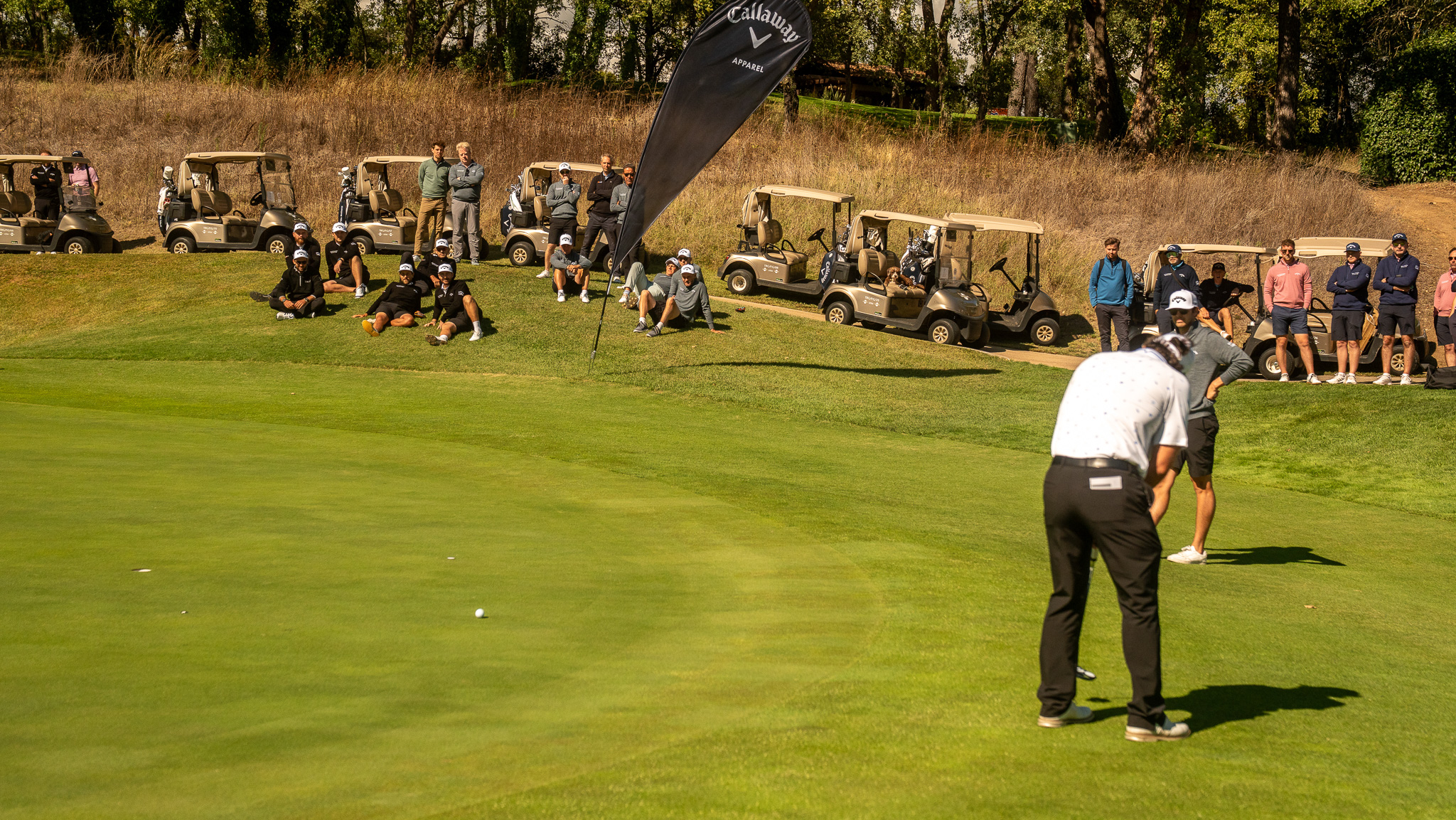 Callaway terre Blanche 60