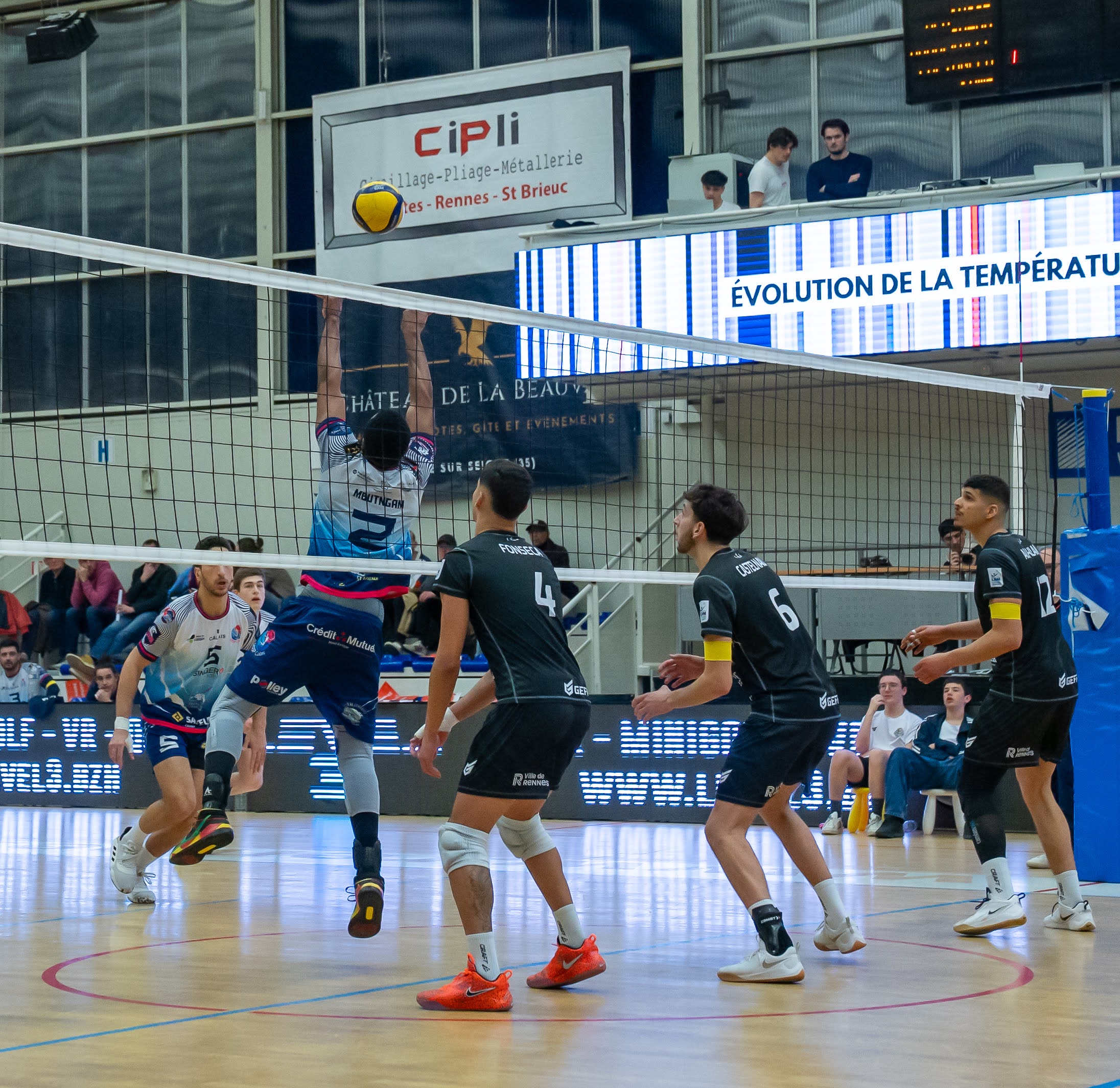 REC Volley 15