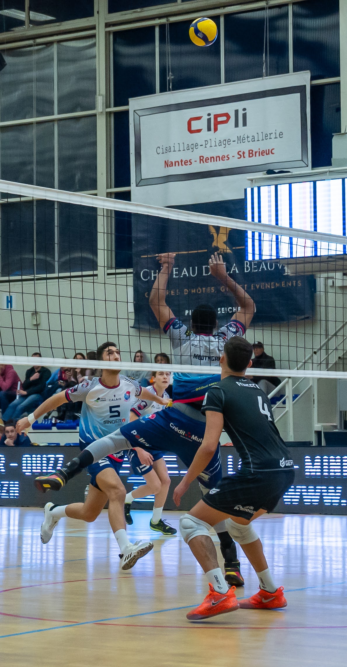 REC Volley 16