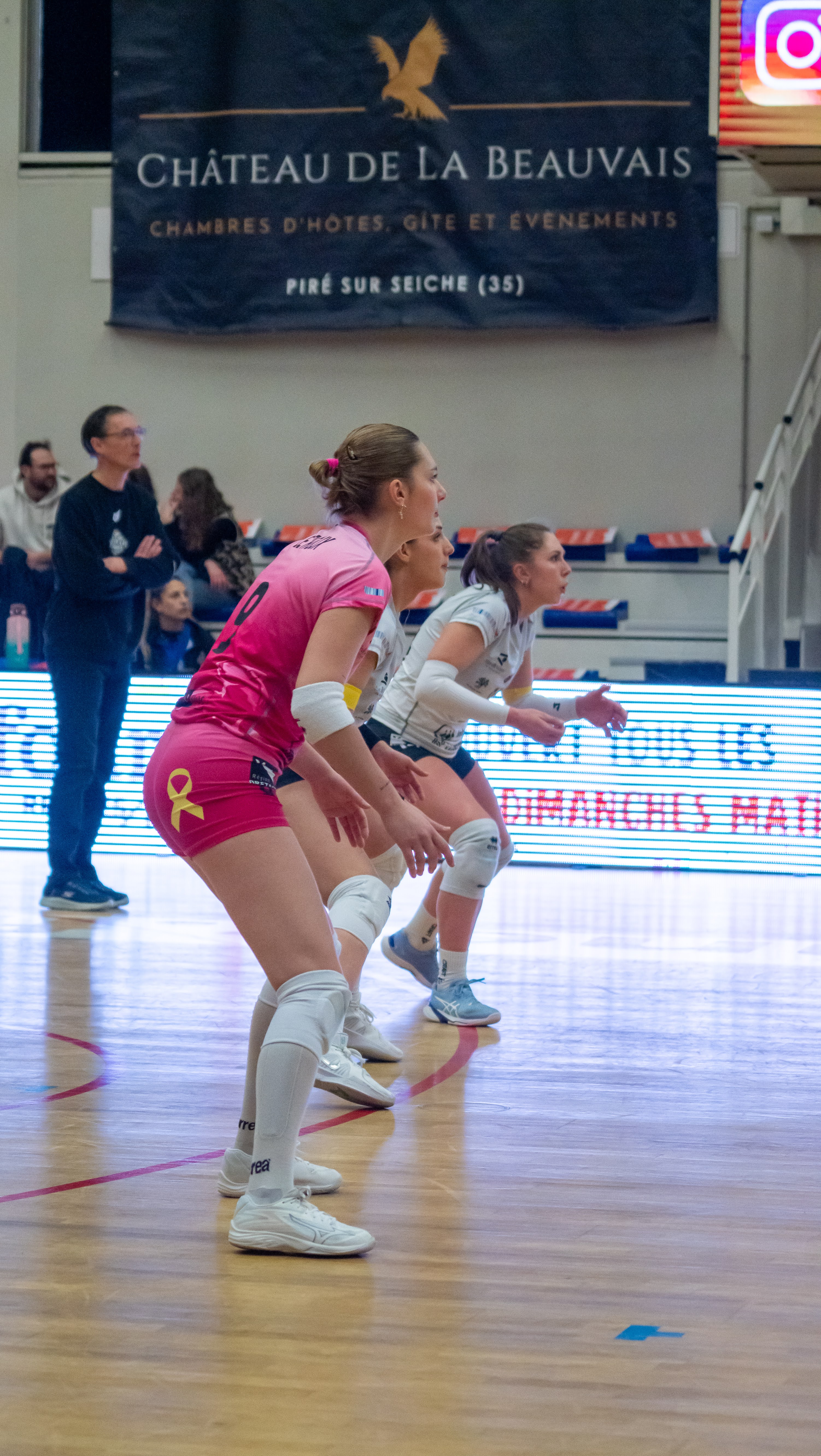 REC Volley 33