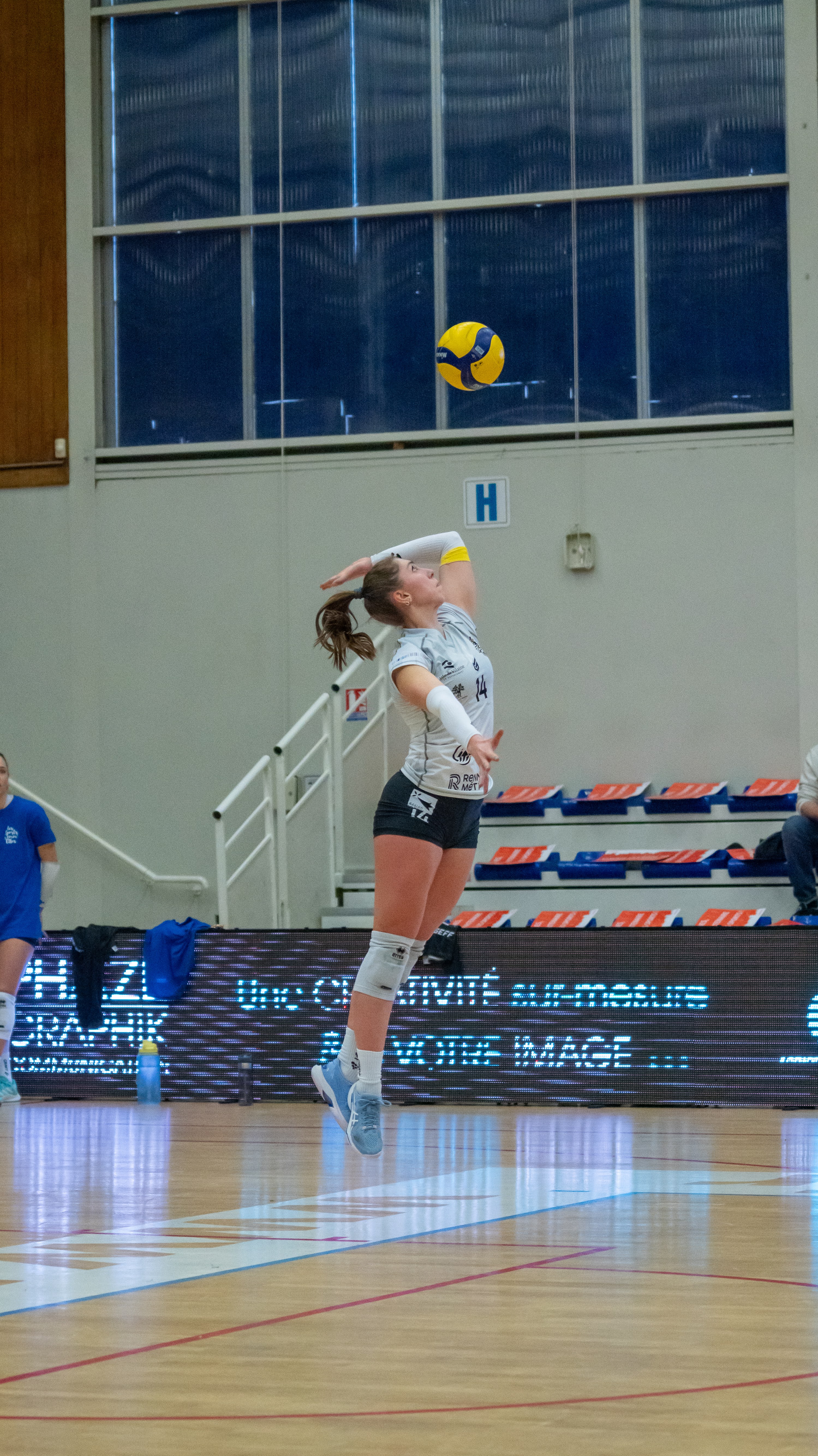 REC Volley 36