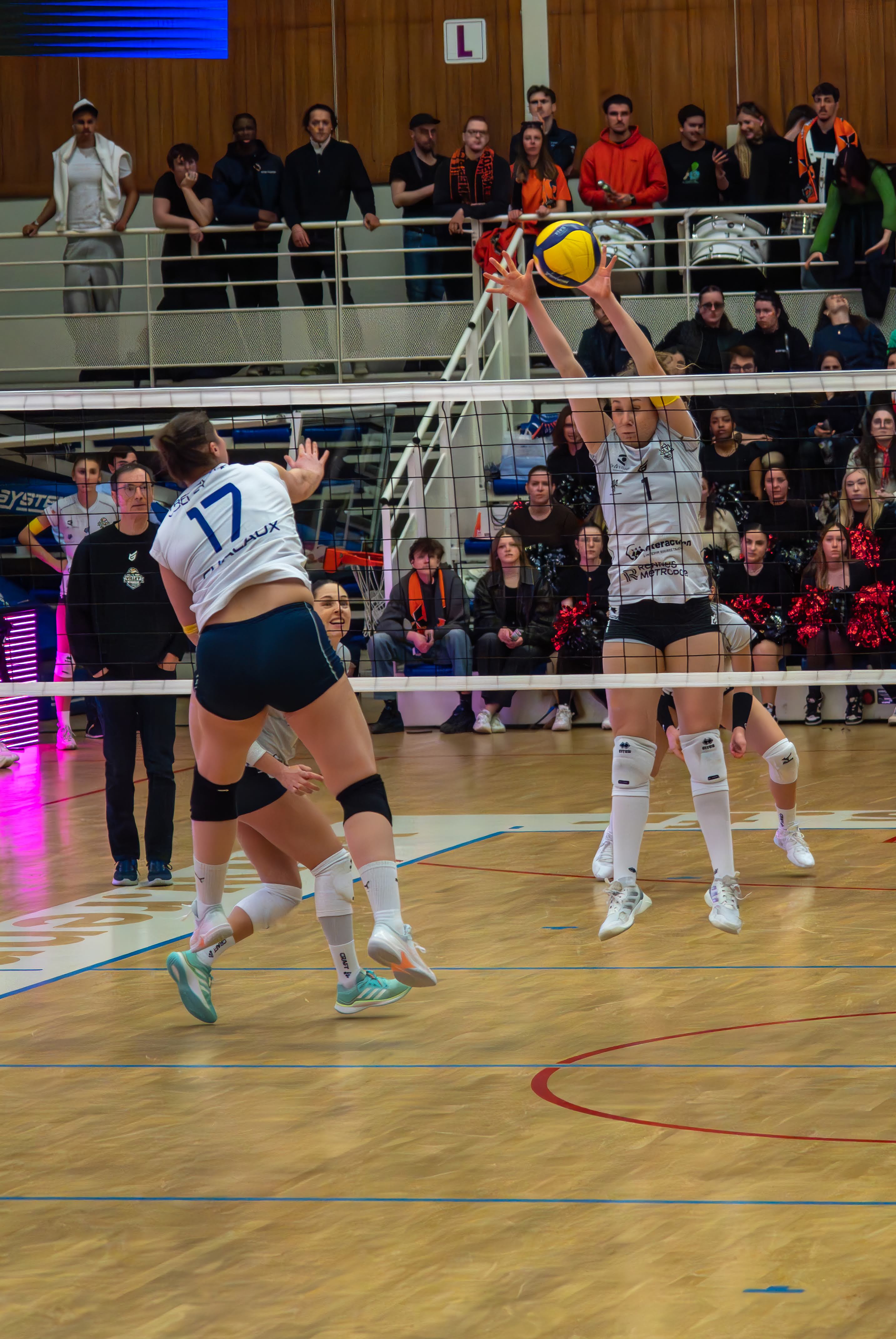 REC Volley 39
